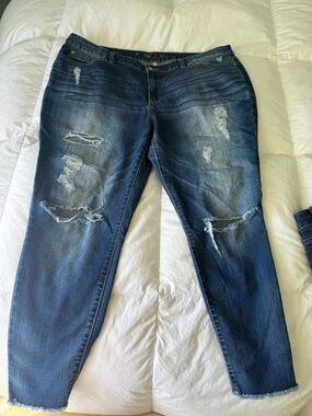 Jennifer Lopez Ripped Skinny Jeans Medium Washed Size 18W